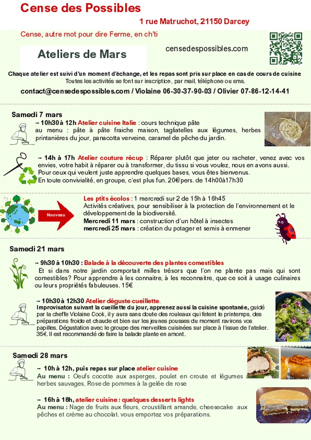 Balade à la découverte des plantes comestibles