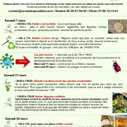 Balade à la découverte des plantes comestibles