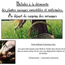 Balade à la découverte des plantes sauvages comestibles et médicinales