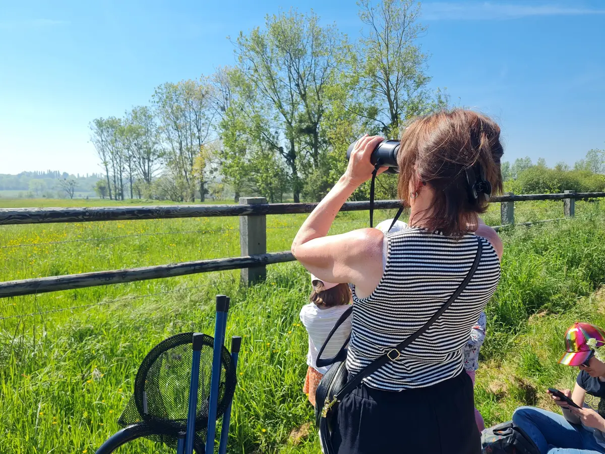 Balade à la découverte des richesses du marais de Blonville-Villers.