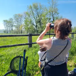Balade à la découverte des richesses du marais de Blonville-Villers.