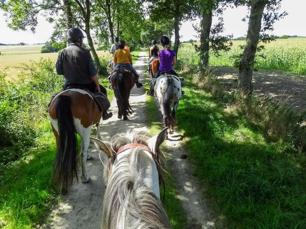 Balade à poney