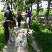 Balade à poney