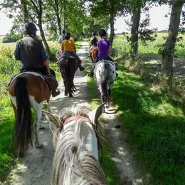 Balade à poney