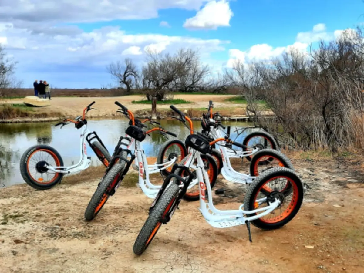 Balade à trottinette électrique à l'étang de l'Or (34)