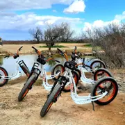 Balade à trottinette électrique à l'étang de l'Or (34)