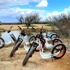 Balade à trottinette électrique à l'étang de l'Or (34)