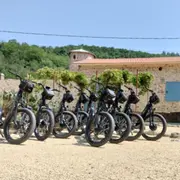 Balade à trottinette électrique autour de Dargoire (42)