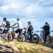 Balade à vélo électrique dans la forêt de la Coubre (17)