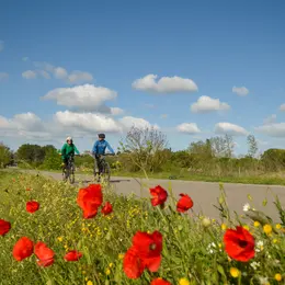 Balade à vélo : Les jardins de Mistral