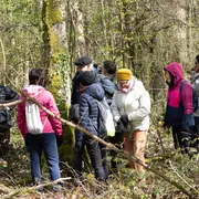 Balade accompagnée en forêt