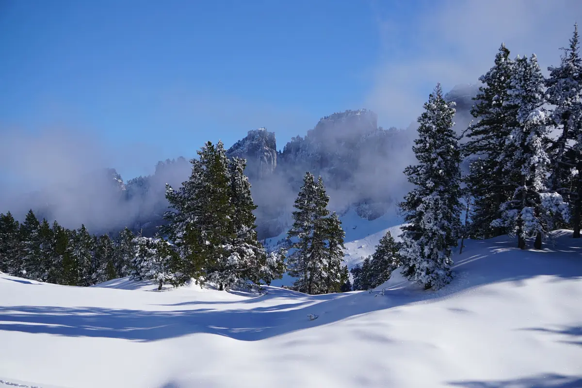 Balade accompagnée en raquettes à la Pierre Saint-Martin