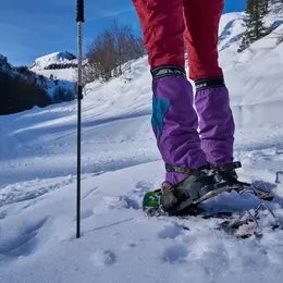 Balade accompagnée en raquettes en vallée d'Aspe