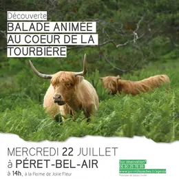 Balade animée au coeur de la tourbière