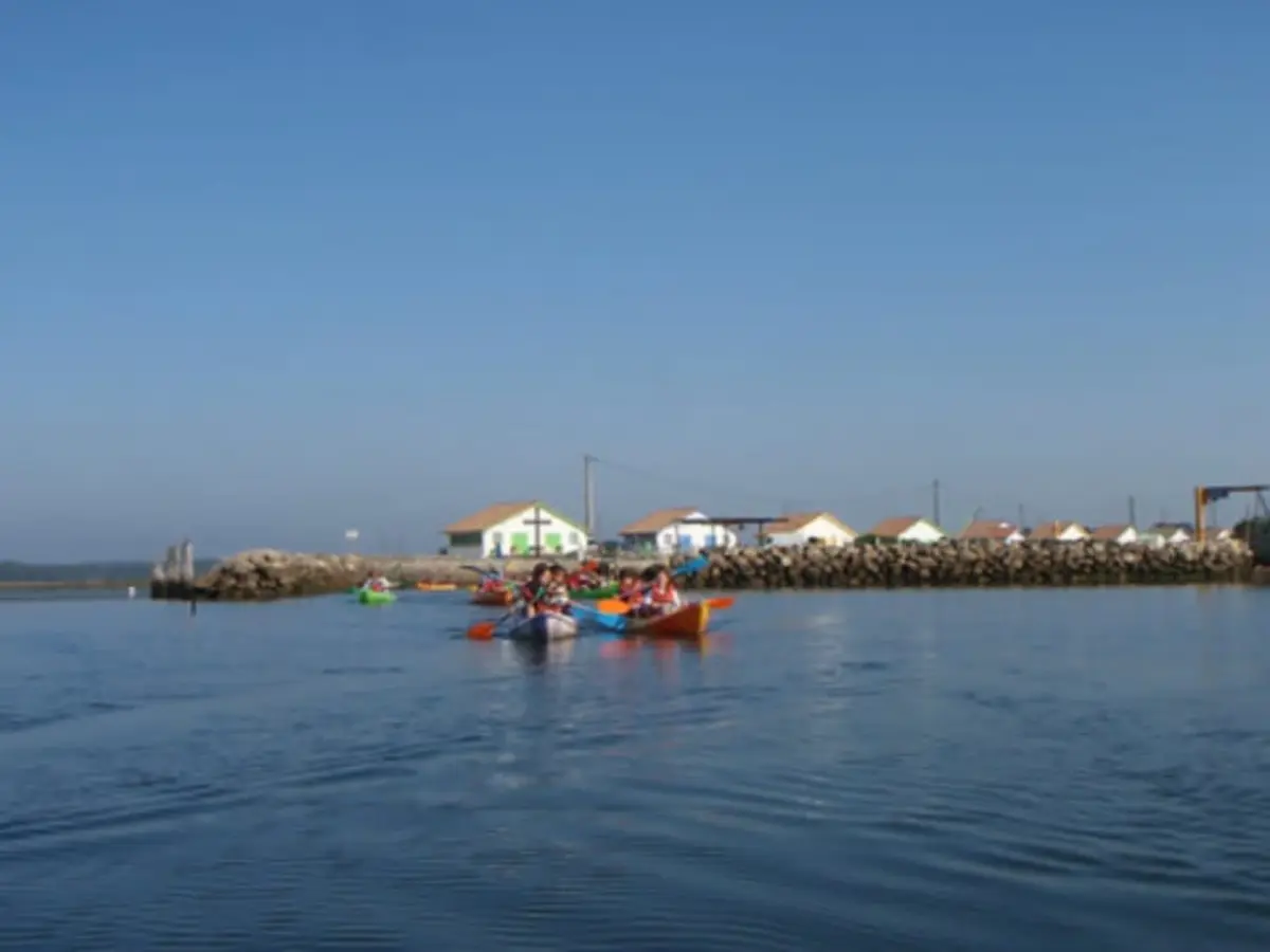 Balade apéro kayak sur le bassin d'Arcachon