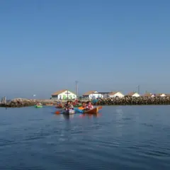 Balade apéro kayak sur le bassin d'Arcachon