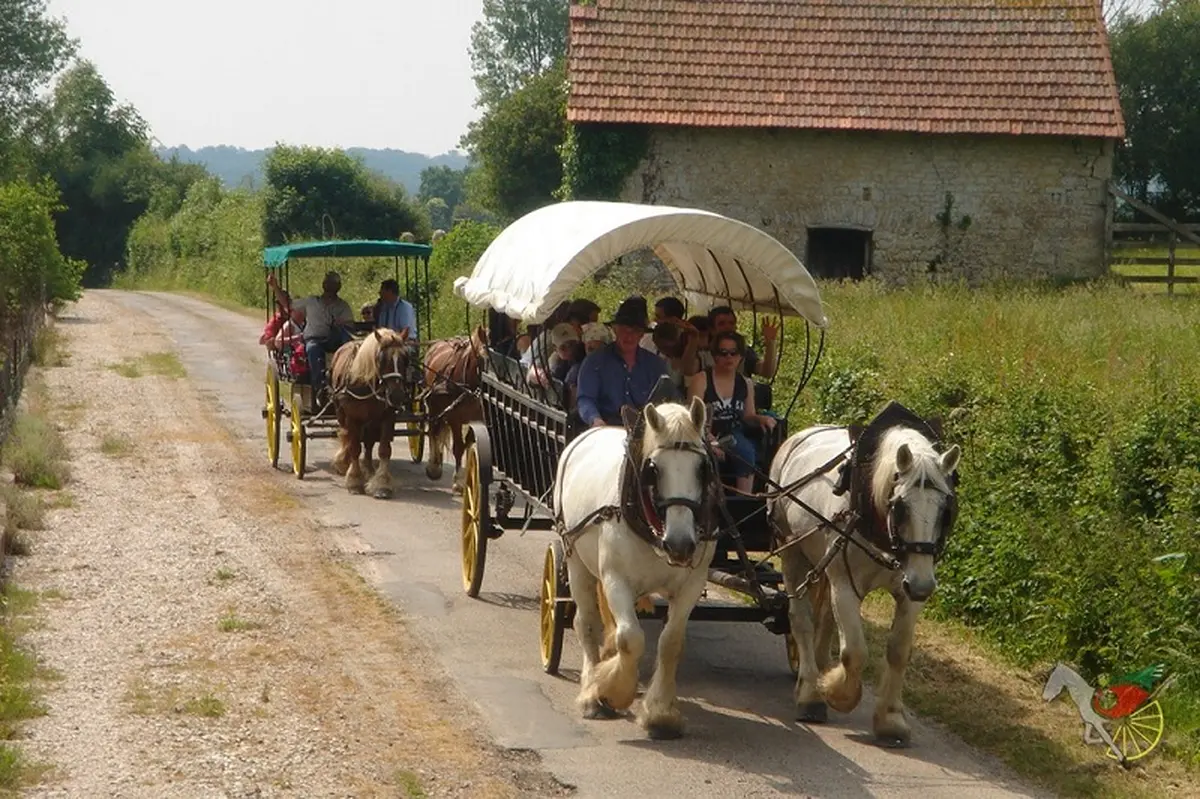 Balade attelée à Carteret