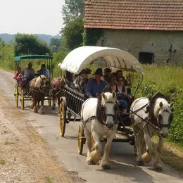 Balade attelée au coeur de Valognes