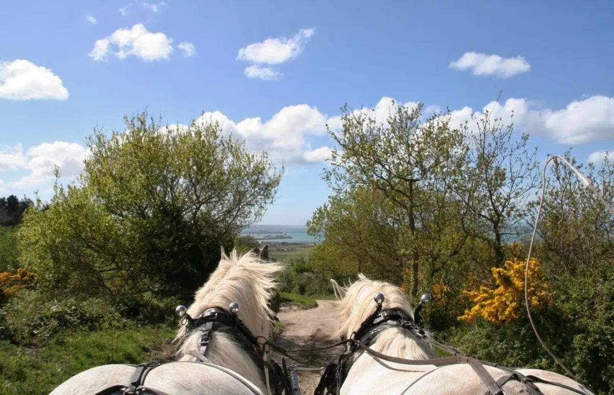 Balade attelée sur les hauteurs de Cherbourg