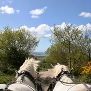 Balade attelée sur les hauteurs de Cherbourg