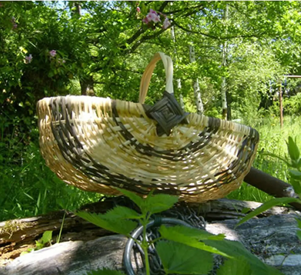 Balade au coeur de la vannerie