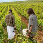 BaladeAu coeur de la vigne à Chambolle-Musigny (21)
