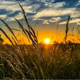 Balade au coucher du soleil à Mairé