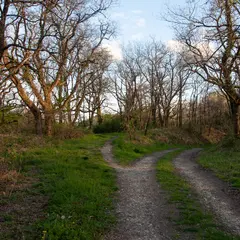 Balade au crépuscule