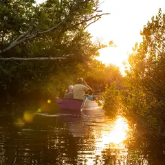 Balade au crépuscule en galupe