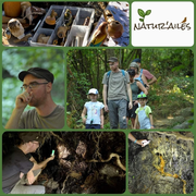 Balade Au Fil De L'Eau Et Des Chants D'Oiseaux