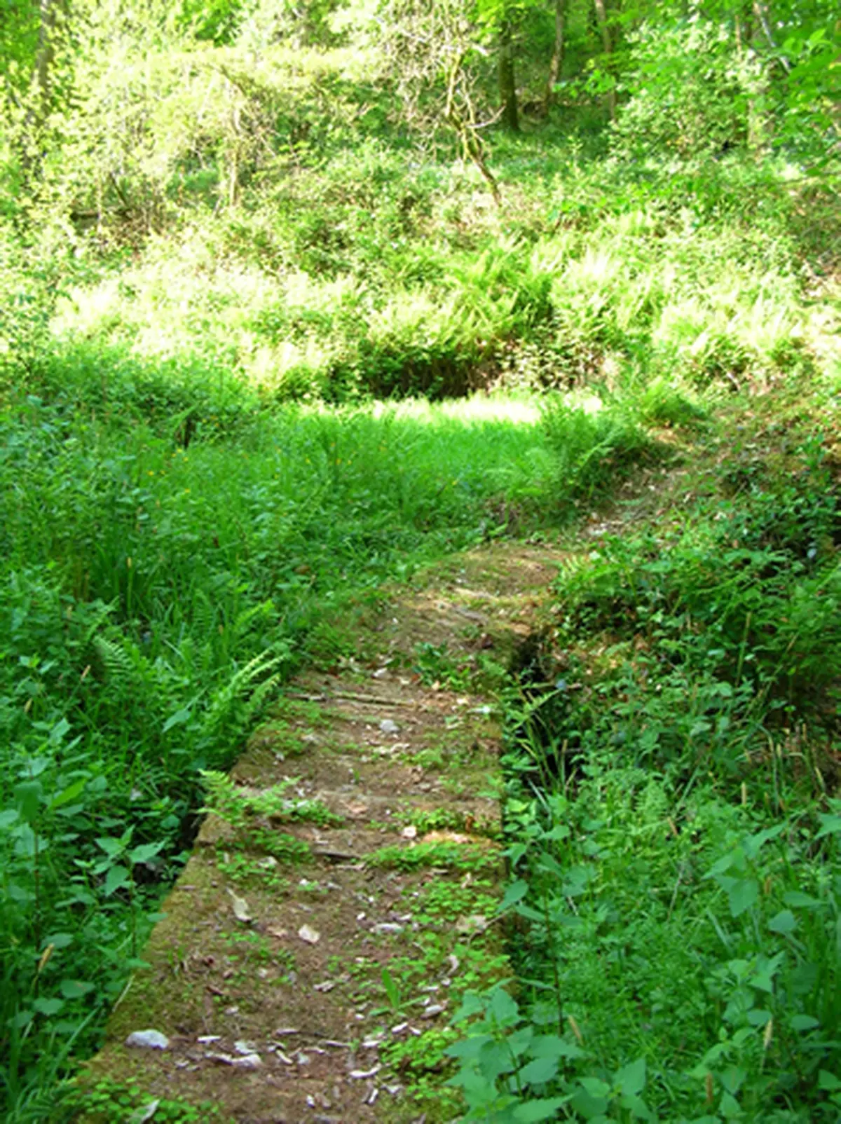 Balade au Lavoir de Brézenty
