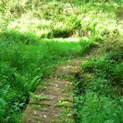 Balade au Lavoir de Brézenty