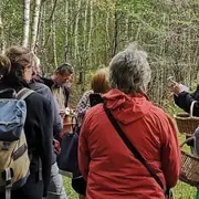 Balade au royaume des champignons