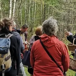 Balade au royaume des champignons