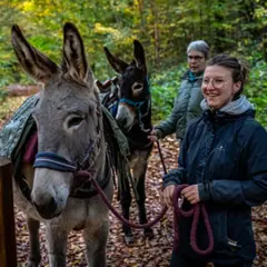 Balade avec des ânes bâtés sur la Vallée de la marne(51)