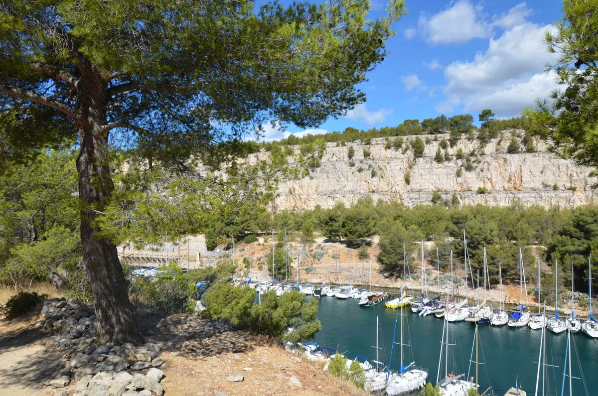 Balade avec les écogardes à Port-Miou