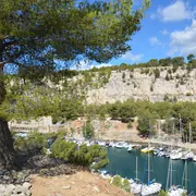 Balade avec les écogardes à Port-Miou