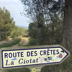 Balade avec les écogardes sur la Route des Crêtes