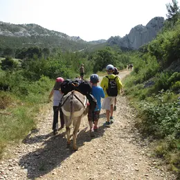 Balade avec les P'tits ânes : Les Caisses de Jean-Jean au pas de l'âne