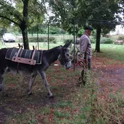 Balade avec un âne bâté