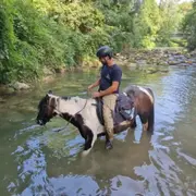 Balade aventure 2h à cheval proche d'Annecy (74)