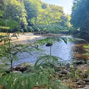 Balade bien-être au fil de l'eau