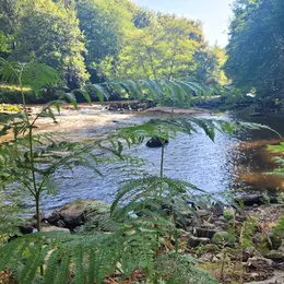 Balade bien-être au fil de l'eau