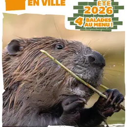 Balade biodiversité en ville - La Nocturne
