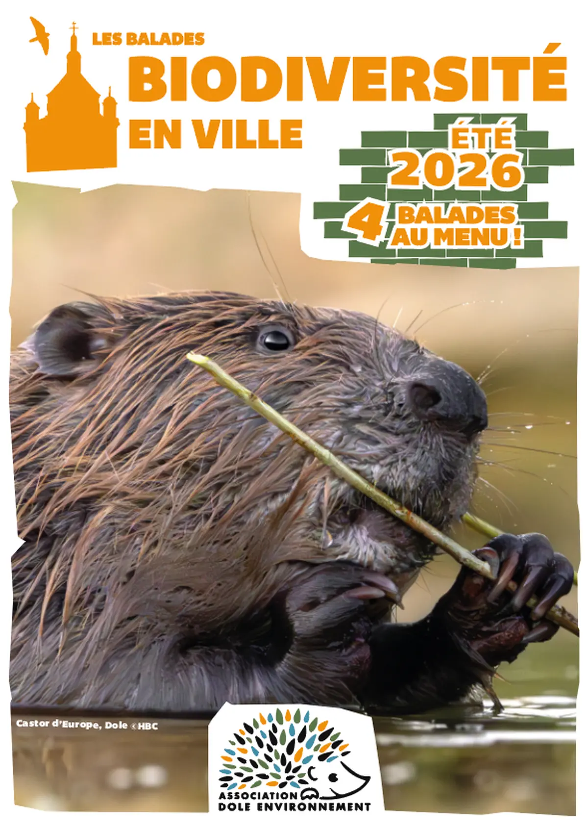 Balade biodiversité en ville - La Nocturne