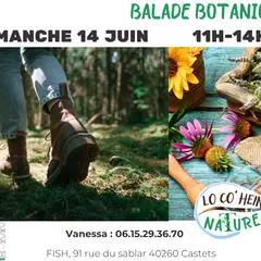 Balade botanique