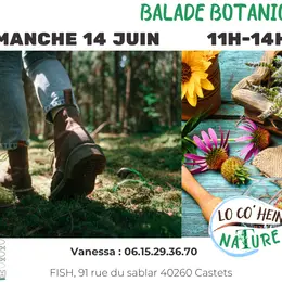 Balade botanique