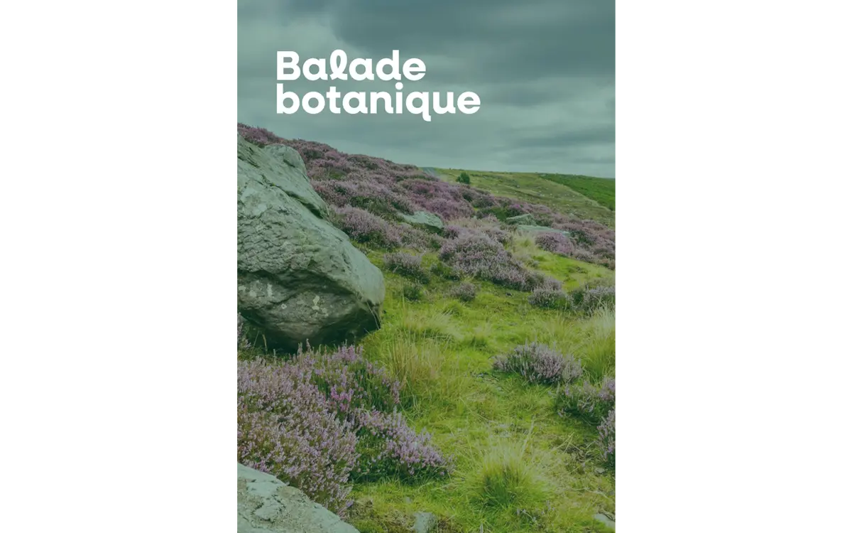 Balade botanique