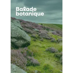 Balade botanique