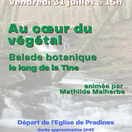 Balade botanique : Au cœur du végétal